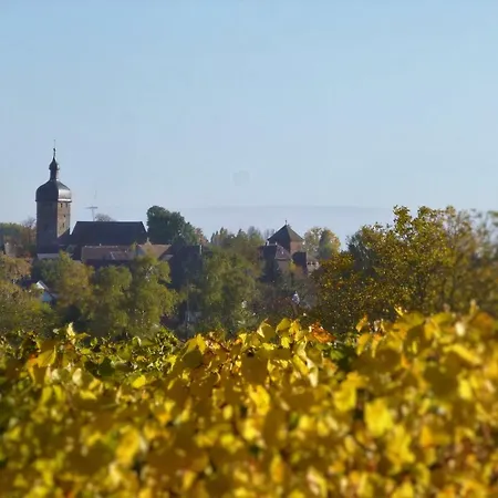 Kirschbluete *