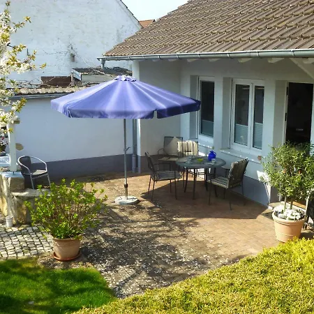 Kirschbluete Billigheim-Ingenheim